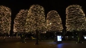 スペシャルセミナー