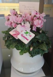 取材を受けました